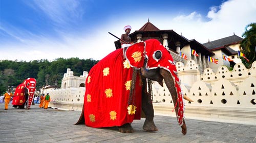 Pacote Índia e srilanka pacote de turismo